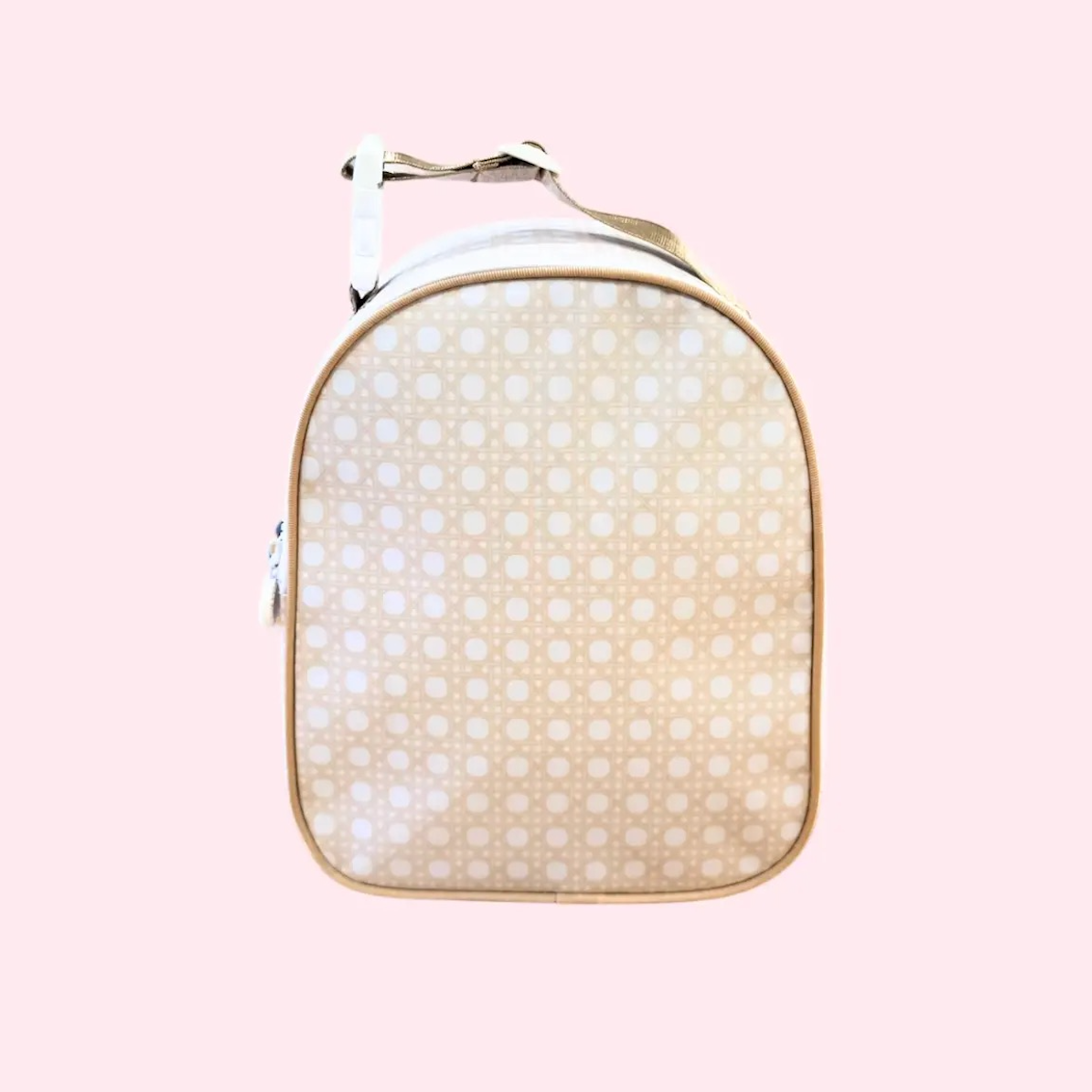 Glossy Gumdrop Lunchbox (Wipeable)